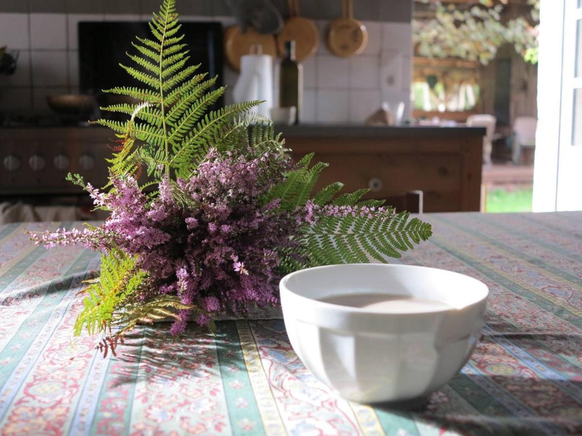 Les Jardins D'Atyoula Losse 외부 사진